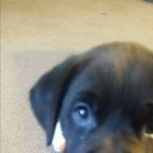 Meet your Posher, Genavieve